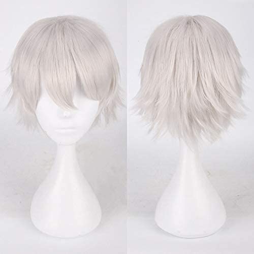 Cosplay Wig Cosplay Fashion Wig Perücke kurz Brewavy Männer Weiß Blau Lila Rosa Rot Orange Grau Silber Anime Kunsthaar Mode Perücke Andere Stil 6 (Farbe: Stil 10,Ta von HOWGARI