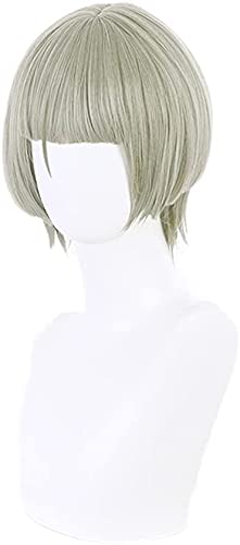 HOWGARI Anime Coser Wig Blue Lange Perücken, synthetisch, Farbverlauf, Blau, Mädchen, Violett, hitzebeständig, Halloween, Kostüm + Perücke (Farbe: Grau) von HOWGARI