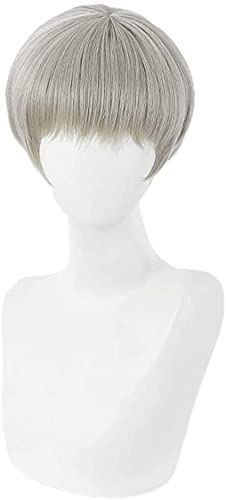 HOWGARI Anime Coser Wig Jujutsu Kaisen Mahito Cosplay Perücken, 2 synthetische Perücken mit haarigem Haar für Kostüme (Zhenren Long Blue) (Farbe: Grau) von HOWGARI