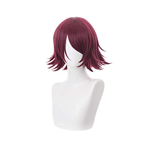 HOWGARI Anime Coser Wig Spiel Arnights Gladiia Cosplay Perücke Lang Rechts Hellblau Blau Perücke Grau Kunsthaare Halloween Party Weihnachten (Motiv: ExUSIAI) von HOWGARI