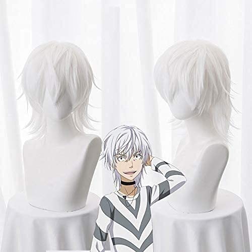 HOWGARI Anime Coser Wig Toaru Majutsu Keine Indexe Accelerator Perücke Cosplay für Herren Jungen 30 cm hitzebeständiges Kunsthaar Weiß Kurz Anime WIME WIME + Perücke von HOWGARI