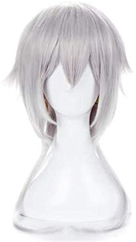 HOWGARI Wig Anime Cosplay Anime Cosplay Perücken COS Anime Touken Ranbu Tsurumaru Kuninaga Cosplay Perücke silberweißer Langhaarschwanz von HOWGARI