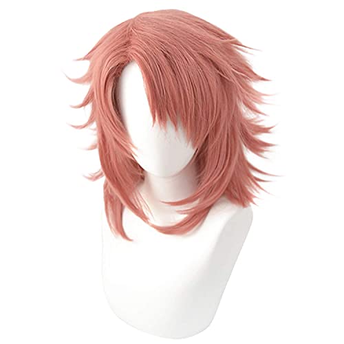 HOWGARI Wig Anime Cosplay Kimetsu no Yaiba Sabito Cosplay Perücke for Herren Halloween Kostüm (Pink) von HOWGARI