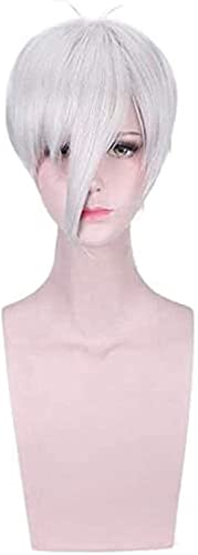 HOWGARI Wig Anime Cosplay Land der glänzenden Antarktis Perücke Cosplay Kostüm Houseki no Kuni Männer Frauen Kurze Kunsthaar Party Rollenspiel Perücken KEEBON von HOWGARI