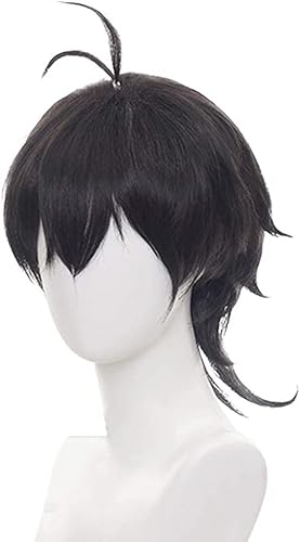 HOWGARI Wig Anime Cosplay SK8 die Unendlichkeit Miya Chinen Cosplay Perücke Anime Perücke (Schwarz) von HOWGARI