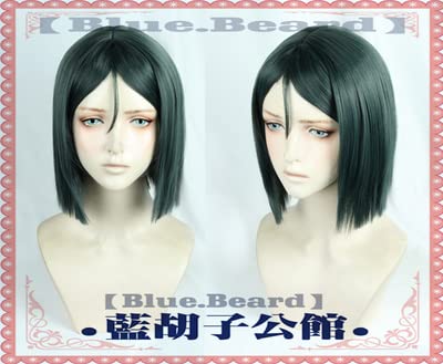 SEIZIS Wig Anime Cosplay () FGO Fate Zhuge Kong Ming/Weber Vilvit King Grüne COS-Perücke von HOWGARI
