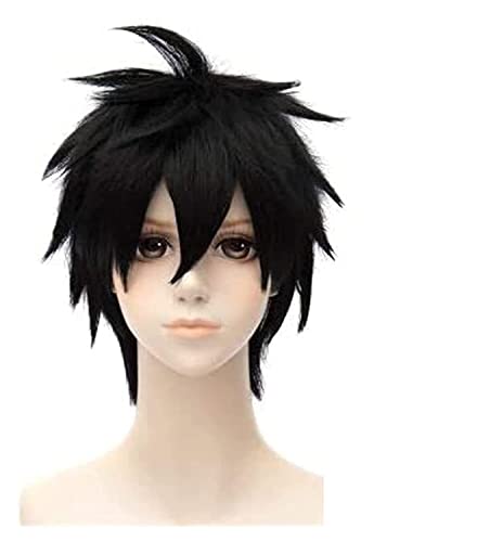 SEIZIS Wig Anime Cosplay Anime Cosplay Perücke SAO Sword Art Online Kirigaya Kazuto Schwarzes kurzes Haar Comic-Con Weihnachten Karneval Halloween Party Alltag Männer und Frauen Mode Perücke von HOWGARI