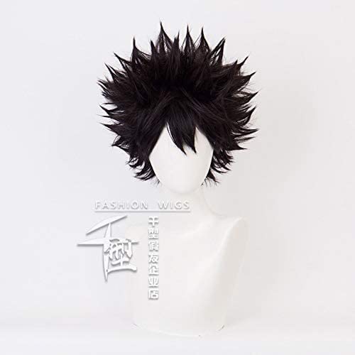 SEIZIS Wig Anime Cosplay Anime!!Fukurodani Akaashi Keiji Perücke Cosplay Kostüm Hitzebeständiges Synthetisches Haar Männer Frauen Allgleiches Schwarz Kurze Perücken von HOWGARI