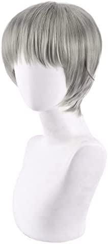 SEIZIS Wig Anime Cosplay Anime Perücke Cosplay gefälschter Zauber zurück for Hund von HOWGARI