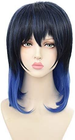 SEIZIS Wig Anime Cosplay Ghosts of The Blade of Destruction Mund flach Inosuke cos Perücke schwarz und blau Farbverlauf Perücke Anime Perücke cos cos Rollenspiel von HOWGARI