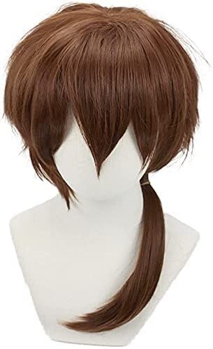 SEIZIS Wig Anime Cosplay Weihnachts-Anime-Cosplay-Perücke for Rurouni Kenshin, Halloween, Karnevalsparty, Karneval, Nachtleben, Konzerte, Hochzeiten, Maskerade-Partys von HOWGARI