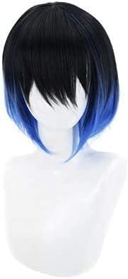 Uearlid Wig Anime Cosplay Anime Cosplay Perücke Hashibira Inosuke Schwarz Blau Kurzhaar Comic-Con Weihnachten Karneval Halloween Party Alltag Männer und Frauen von HOWGARI