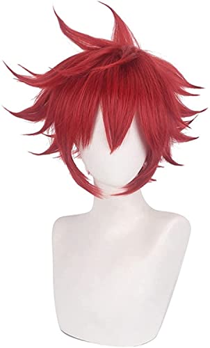 Uearlid Wig Anime Cosplay Anime Cosplay Perücken SK8 Die Infinity Joe Cosplay Perücke for Halloween-Party-Requisitenzubehör mit freier Perücke-Kappe von HOWGARI