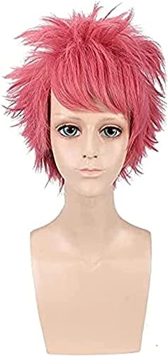 Uearlid Wig Anime Cosplay Anime Fairy Tail Etherious Natsu Dragneel Rosa Kurze Perücke Cosplay Kostüm Hitzebeständiges Synthetisches Haar Männer Frauen Cosplay Perücken von HOWGARI