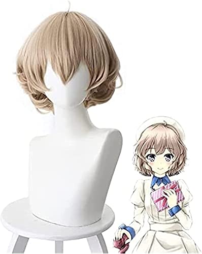 Uearlid Wig Anime Cosplay Anime erfand Inferenz Iwanaga Kotoko Perücke Cosplay Kostüm hitzebeständiges Synthetisches Haar Frauen Cosplay Perücken von HOWGARI