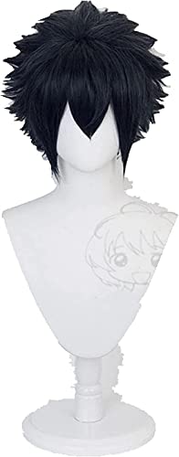 Uearlid Wig Anime Cosplay Noctis Cosplay Cosplay Männer Kurze Dunkelblaue Perücke Cosplay Anime Cosplay Perücke Hitzebeständige Synthetische Perücken von HOWGARI