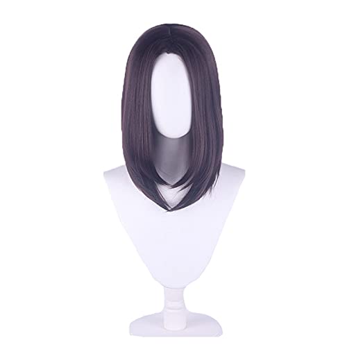 WHBHD Anime Coer Wig. Angriff auf Titan Eren Jaeger Cosplay Perücke braune Schwarze Frauen Herren Hitzebeständige synthetische Haarperücken + Perücke Kappe von HOWGARI