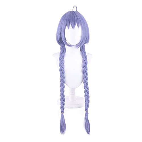 WHBHD Anime Coer Wig. Anime Mushoku Tensesi Roxy Migurdia Greyrat Cosplay Perücke Long Blue Braids Haare Arbeitslose Reinkarnation Rollenspiele von HOWGARI