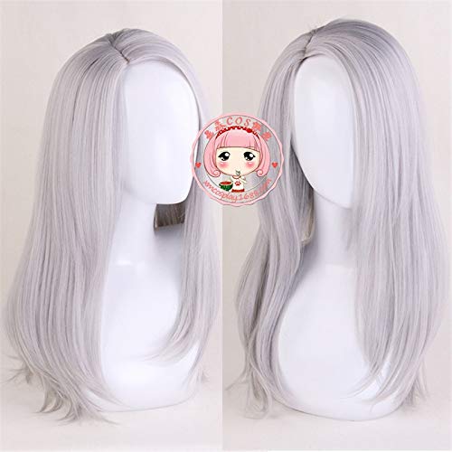 WHBHD Anime Coer Wig. Anime Yuri auf EIS Victor NikiForov Perücken Cosplay Kostüm Lange Gerade Karneval Party Synthetische Haarperücke MZ059 von HOWGARI