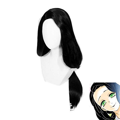 WHBHD Anime Coer Wig. Dämon Slayer Kimetsu Nein Yaiba Shinobu Hashibira Kotoba Lange gerade Perücke Cosplay Kostüm Frauen Synthetische Haarperücke TCY-637. von HOWGARI