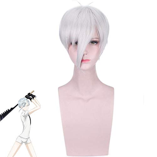 WHBHD Anime Coer Wig. Land der glänzenden Antarctivit Perücke Cosplay Kostüm Houseki Nein Kuni Männer Frauen Kurze synthetische Haarsparty Rollenspielperücken PL-188 von HOWGARI