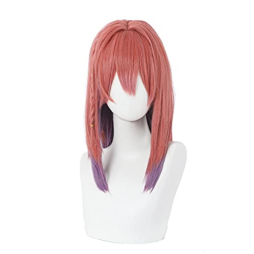 WHBHD Anime Coer Wig. Sakurasawa Sumi Cosplay Perücke Anime Mieten Sie eine Freundin Gradient Kurze hitzebeständige synthetische Frauen Haarperücken von HOWGARI