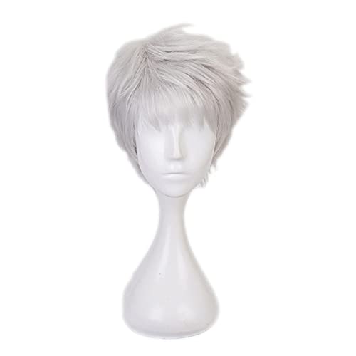 WHBHD Anime Coer Wig. Twisted Wonderland Cosplay Kalim Al-Asim Perücke Männer Kurzer Silverheat Resistent Synthetisches Haar Anime Rollenspielperücken von HOWGARI
