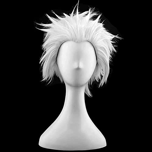 Wig Anime Cosplay Weihnachts-Anime-Cosplay-Perücke for Fate/Stay Night Emiya Shirou Archer, Halloween, Karnevalsparty, Karneval, Nachtleben, Konzerte, Hochzeiten, Maskerade-Partys von HOWGARI