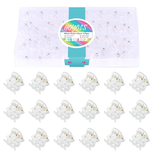 Hoyols Klare Kleine Haarclips, Mini Krallen Clips für Haar Starke Griff Kunststoff Tiny Kiefer Nettes Zubeh?r Kein Rutsch für Frauen M?dchen Kurzes dickes Haar 48 pcs von HOYOLS