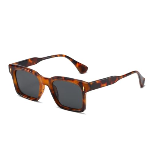HPIRME Modische Nieten Herren Candy Color Brillenschirme UV400 Damen Klare Gläser Rahmen (Leopardengrau) von HPIRME
