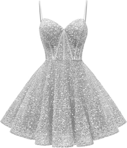 HPPEE Glitzernde Pailletten-Heimkehrkleider, kurzes Ballkleid, A-Linie, Korsett, Cocktail-Partykleid, silber, 48 von HPPEE