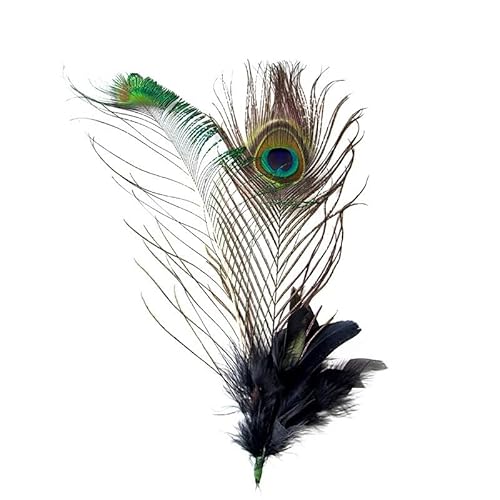 1 stücke Natürliche Federn Dekoration Kopfschmuck Schöne Große Augen Pfauenfeder for Handwerk Hochzeit Karneval Bühne Hüte Zubehör von HUFFA