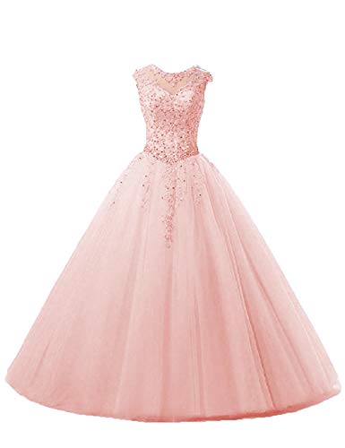 Ballkleider Lang A-Linie Abendkleider Quinceanera Kleider Tüll Ärmellose Hochzeitskleider Prinzessin Abschlussballkleider Blush 44 von HUINI