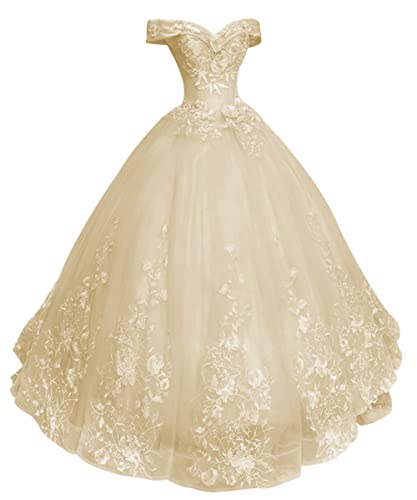 HUINI Ballkleider Lang Vintage Brautkleid Hochzeitskleid Damen Prinzessin A-Linie Abendkleid Quinceanera Kleider Champagner 32 von HUINI