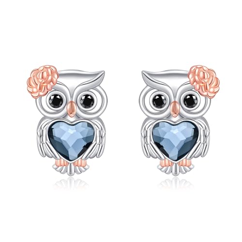 Kristall Eulen Ohrstecker aus Sterlingsilber Eulenschmuck Niedliche Tier Ohrringe Geschenke für Frauen von HUKKUN