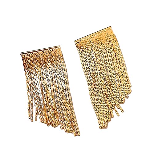 Damenohrringe Europäische und amerikanische geometrische Metall Quaste Ohrringe 2023 Frauen übertriebene Temperamentschmuckzubehör Ohrringe Ohrringe von HVBIHRJIP