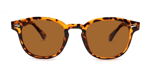 HWYYLX Retro Oval Polarisierte Sonnenbrille Für Männer Frauen, Vintage Johnny Depp Runde Sonnenbrille, Mode UV400 Getönte Linse Sport Karneval Sonnenbrille von HWYYLX