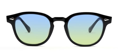 HWYYLX Retro Oval Polarisierte Sonnenbrille Für Männer Frauen, Vintage Johnny Depp Runde Sonnenbrille, Mode UV400 Getönte Linse Sport Karneval Sonnenbrille von HWYYLX