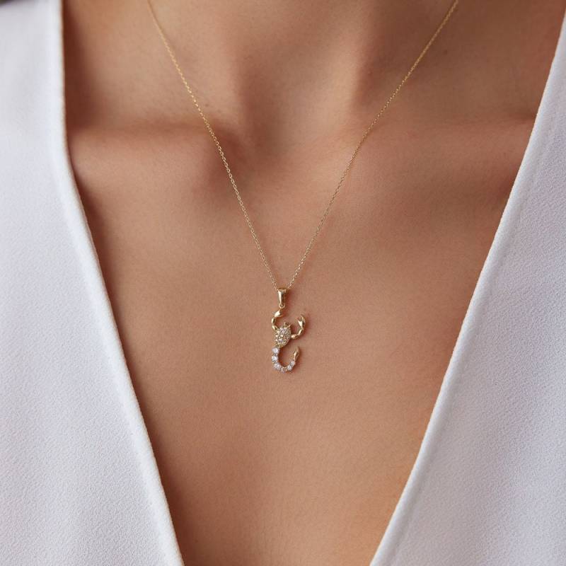 Skorpion Sternzeichen Anhänger, 14K Solid Gold Charm Halskette, Skorpion, Minimal Tier Halskette von HYGoldJewelry