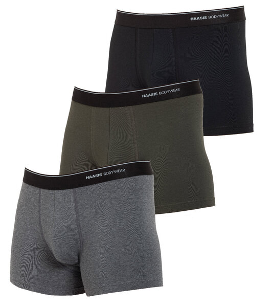 Haasis Bodywear Herren Pants 3er Pack ohne Eingriff, Single Jersey, von Haasis Bodywear