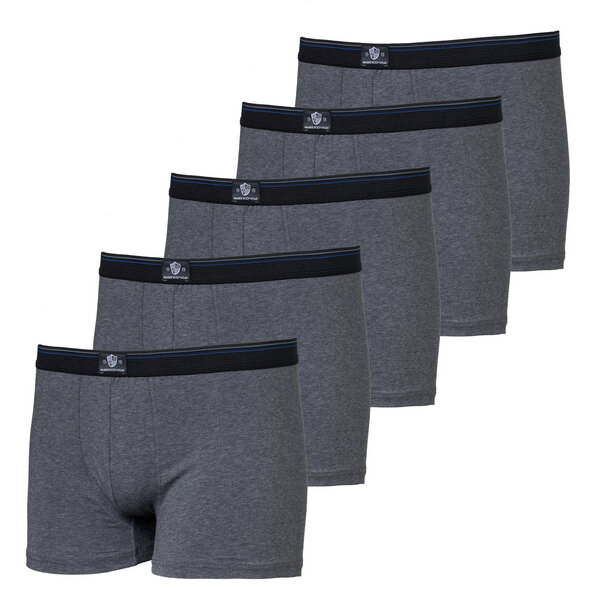 Haasis Bodywear Herren Pants 5er Pack ohne Eingriff, Single Jersey, von Haasis Bodywear