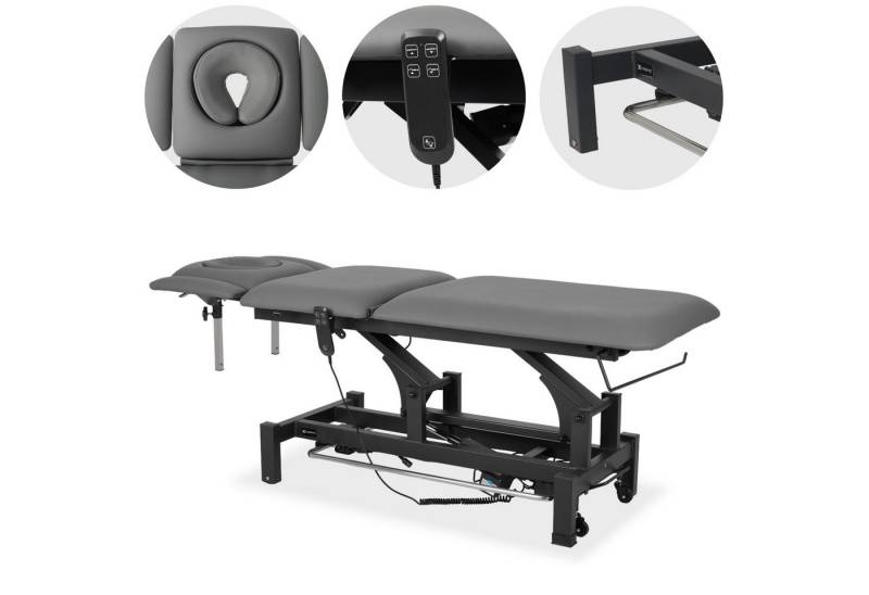 Habys Massageliege Fortis 5 Ergo Elektrische Behandlungsliege Handbedienung Steuerrahmen Habys Massageliege Fortis 5 Ergo Elektrische Behandlungsliege Handbedienung Steuerrahmen von Habys