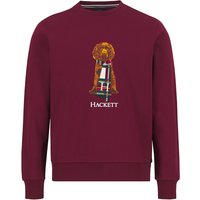 HACKETT Herren Sweatshirt rot Classic Fit von Hackett