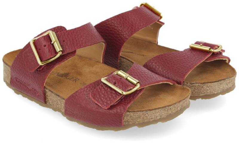 Haflinger Haflinger Bio Andrea Hausschuh von Haflinger