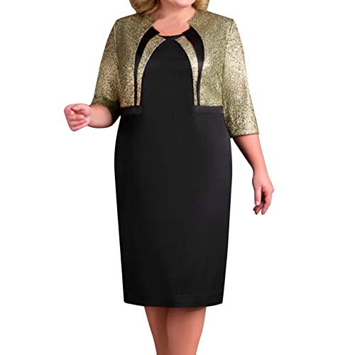 Haiorziyou Kleid Klein Damen Frauen Plus Size Elegantes Kleid Vintage Rückenreißverschluss Kurzes Midikleid Damen Cocktail Abend Spitze Party Blumenkleider Schickes Kleid Damen Festlich von Haiorziyou