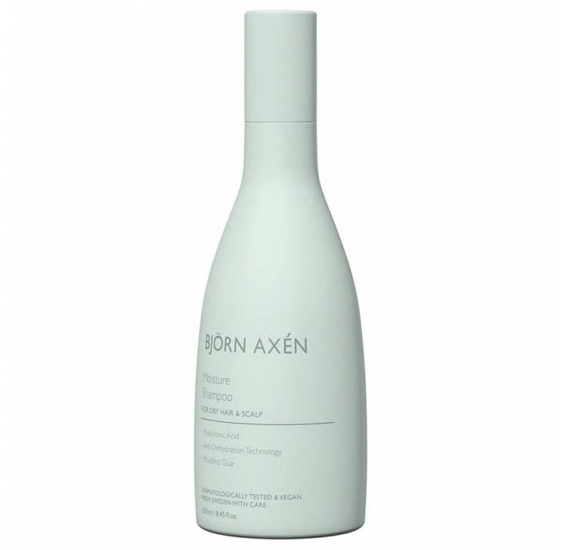 HairGecko Haarshampoo Björn Axén Moisture Shampoo 250 ml von HairGecko
