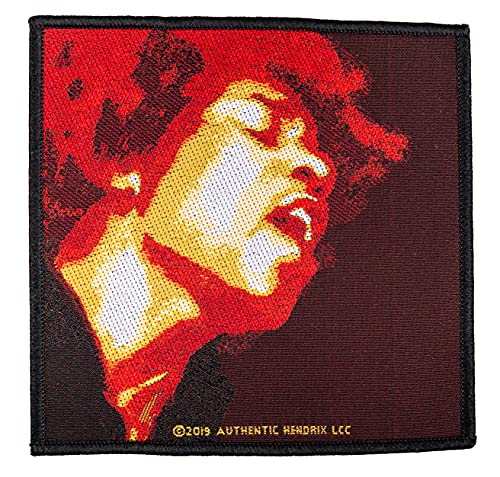 Halle 15 Clothes Jimi Hendrix Electric Ladyland Aufnäher Jimi Hendrix Patch Gewebt & Lizenziert !! von Halle 15