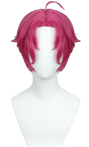 Hallojojo Abby Cosplay Perücken Herren 30CM Rose Kurze Haare Kostümperücke Verkleidung Dämon Jäger Sajaboys Abby Halloween Karneval Party Maskenball Kostüm Zubehör Anime Wig von Hallojojo