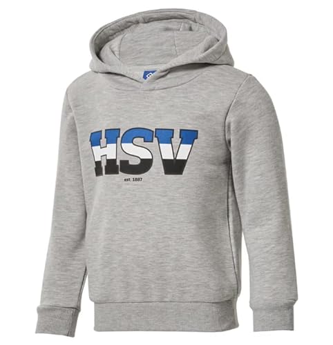 Hamburg SV HSV Kinder Kapuzenpullover Hoodie Pullover ** Nias ** (DE/NL/SE/PL, Numerisch, 164, Regular, Grau) von Hamburg SV
