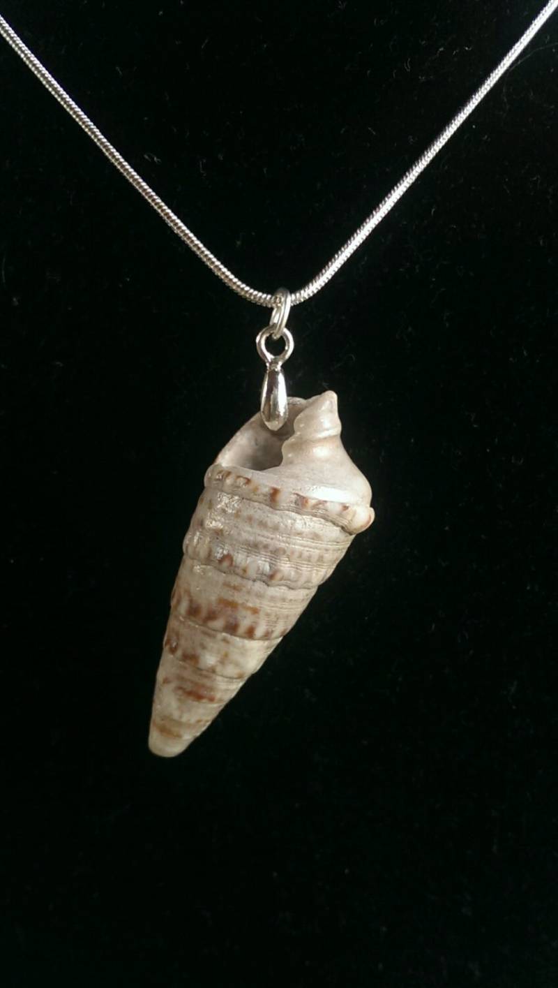 Horn Shell Sterling Silber Halskette Hammerhead Junkyard Horn Shell Sterling Silber Halskette Hammerhead Junkyard von HammerheadJunkyard